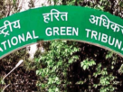 NGT Stops Illegal Construction in Noida's Jaypee Wishtown