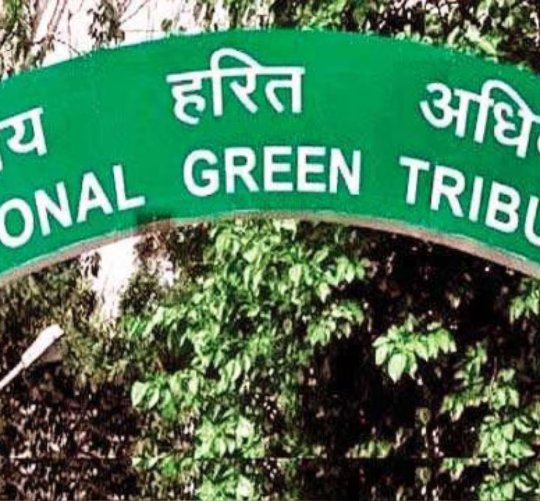 NGT Stops Illegal Construction in Noida's Jaypee Wishtown