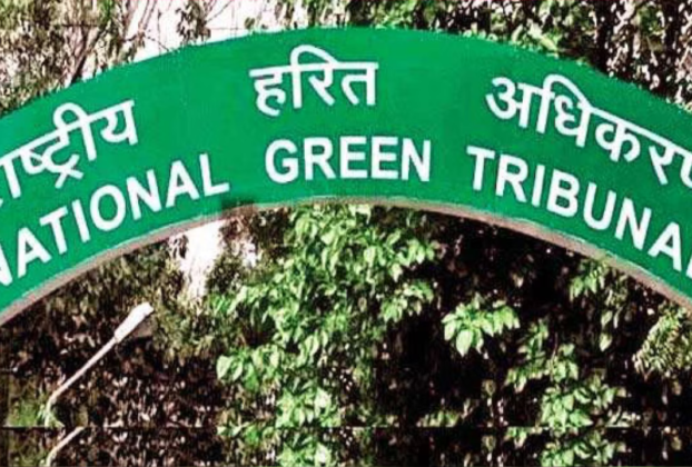 NGT Stops Illegal Construction in Noida's Jaypee Wishtown