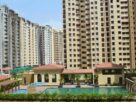 446 Amrapali Silicon City Flats Sold to AU Real Estate