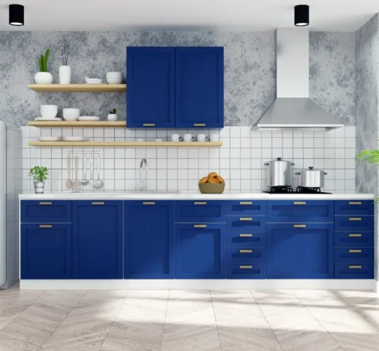 Kitchen Vastu Tips for Indian Homes in 2025