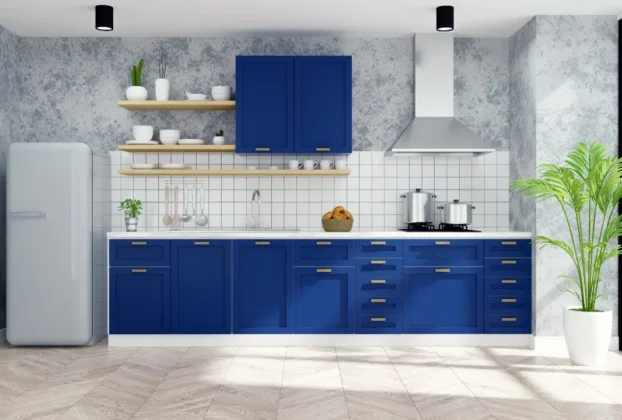 Kitchen Vastu Tips for Indian Homes in 2025
