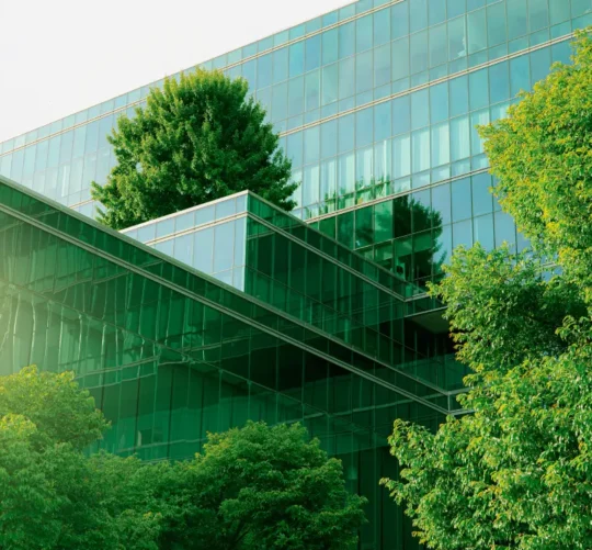 Eco-Friendly Building Materials Gaining Popularity in India