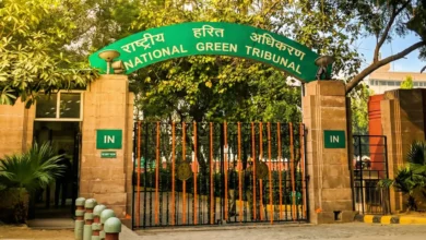 NGT stays order to attach Gaursons Promoters office in ongoing legal proceedings