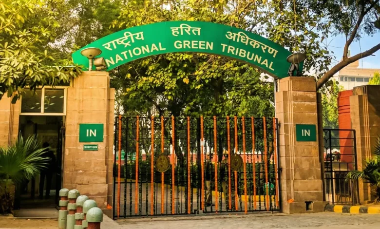 NGT stays order to attach Gaursons Promoters office in ongoing legal proceedings