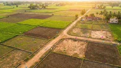 YEIDA increases minimum plot size to 40 sqm for LIG housing scheme