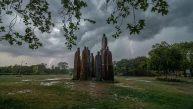 PIL challenges JDA’s two-storey construction inside Jaipur Central Park over environmental concerns