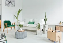 Modern living room with plants and furniture illustrating Vastu tips for rented houses