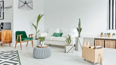 Modern living room with plants and furniture illustrating Vastu tips for rented houses