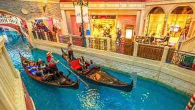 SC-appointed panel declares Grand Venice project unfit for occupancy