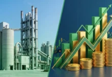 Delhi PWD to develop four dust-free model roads under anti-pollution plan