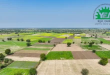 YEIDA ends OTS window as recovery begins for 7,200 defaulters from March