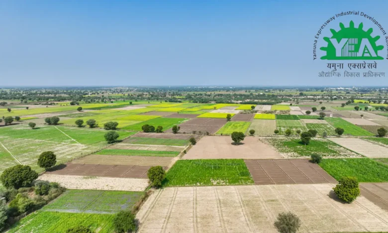 YEIDA ends OTS window as recovery begins for 7,200 defaulters from March