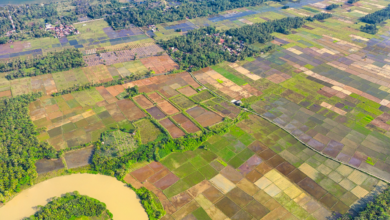 DDA Approves First Land Pooling Sector in North-West Delhi