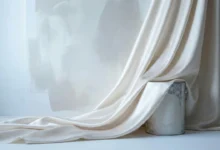 Asian Paints Unveils Moonlit Silk as Colour of 2026