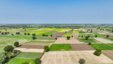 YEIDA Launches Residential Plot Scheme in Sector 15C, 18 & 24A