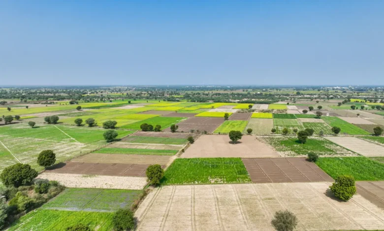 YEIDA Launches Residential Plot Scheme in Sector 15C, 18 & 24A