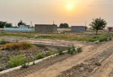 Noida Authority Clears 1,200 Sq Metres of Encroached Land in Gulawali Village