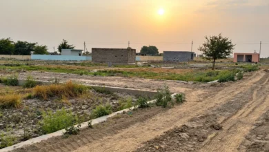 Noida Authority Clears 1,200 Sq Metres of Encroached Land in Gulawali Village