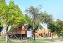 South Delhi farmhouses in areas such as Chhatarpur, Asola and Satbari, highlighting the reported land-size restrictions for farmhouse properties.