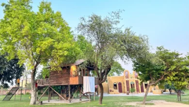 South Delhi farmhouses in areas such as Chhatarpur, Asola and Satbari, highlighting the reported land-size restrictions for farmhouse properties.