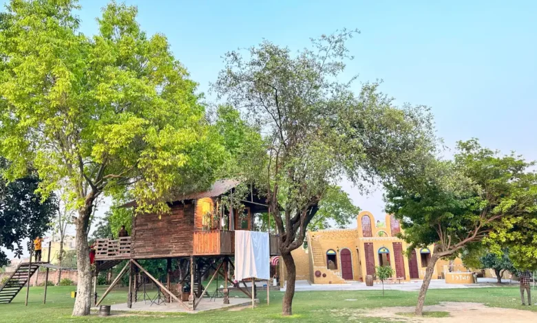 South Delhi farmhouses in areas such as Chhatarpur, Asola and Satbari, highlighting the reported land-size restrictions for farmhouse properties.